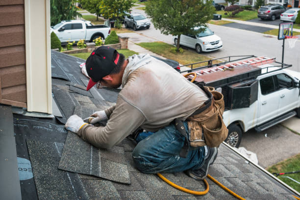 Professional Hail Damage Roof Repair technician working in Cofield, NC